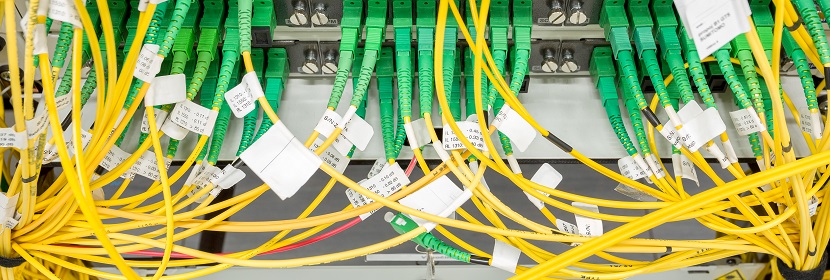 公共衛生考研，這是最好的時期！?。?【2022為民實事系列評論】筑牢公共衛生防護網，是須臾不可放松的大事 健明迪檢測