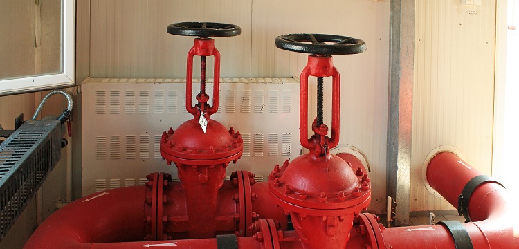 微生物安全健康網，微生物檢測如何規范操作 ?在微生物檢測實踐中，什么時候需要檢測參考菌群 參考菌群的檢測有何意義 ?健明迪