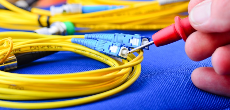 葉中含梗率測定